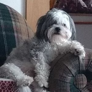 Meet your Posher, Dave